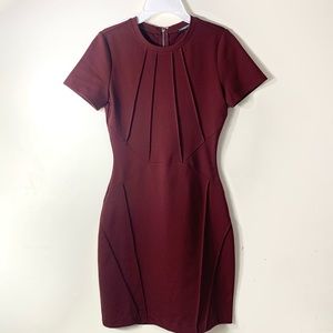 Express Burgundy Bodycon Mini Dress